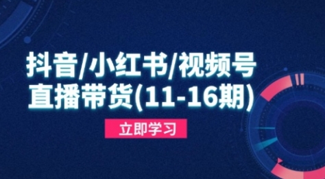 【盗坤】抖音/小红书/视频号带货变现实战培训课程