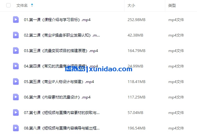 【吉同学】2025IP流量操盘手培训课程：商业IP变现/短视频引流思路
