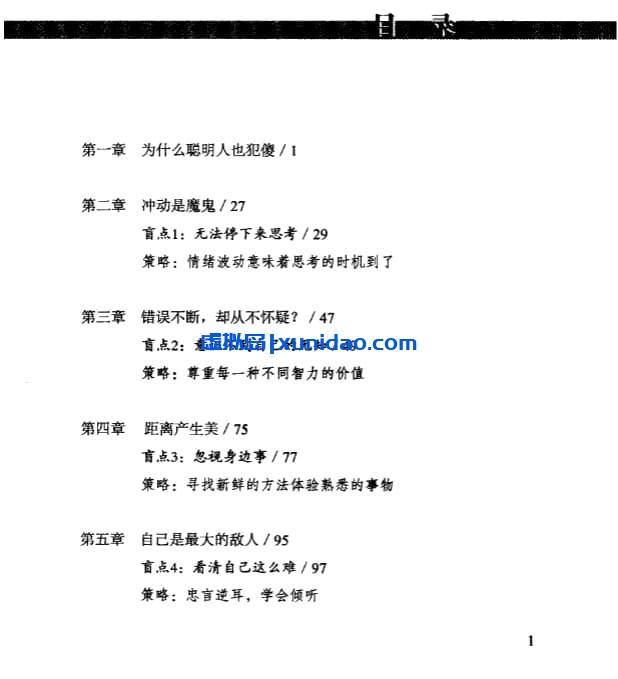 【盲点：为什么聪明人也犯傻】 pdf电子书下载