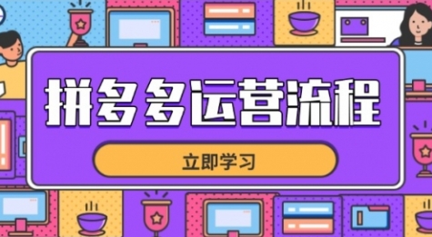 拼多多店铺运营培训教程:新手从零掌握店铺选品、定位、销量策略