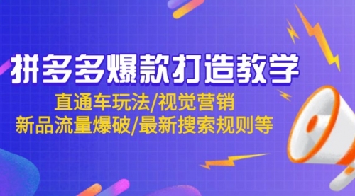 【齐论】拼多多VIP培训课程:店铺优化/新店起量思路/直通车投放