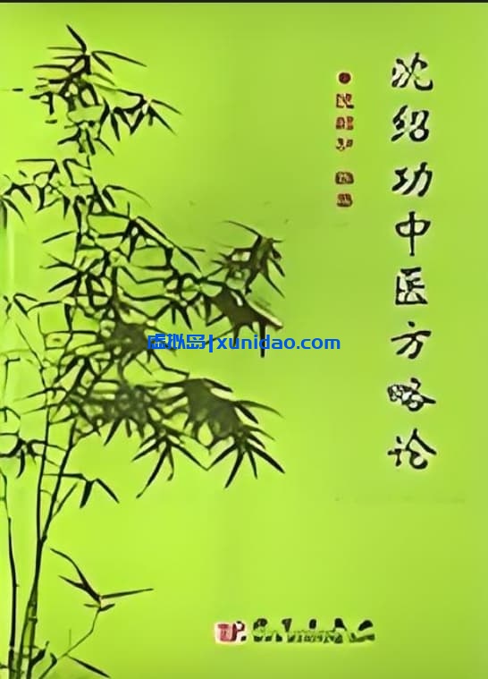 【沈绍功中医方略论】 pdf电子书下载