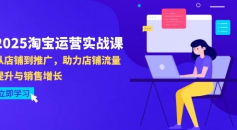 【晴天老师】淘宝店铺运营赚钱实战课程:店铺流量提升/销量增长