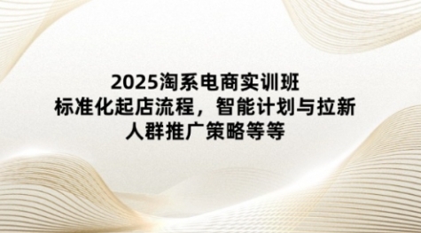 【寒冰电商】淘系电商运营推广赚钱课程:学习起店标准化公式