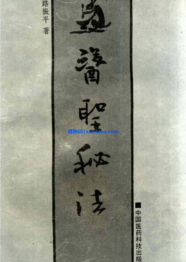 路振平【医圣秘法】 pdf电子书下载